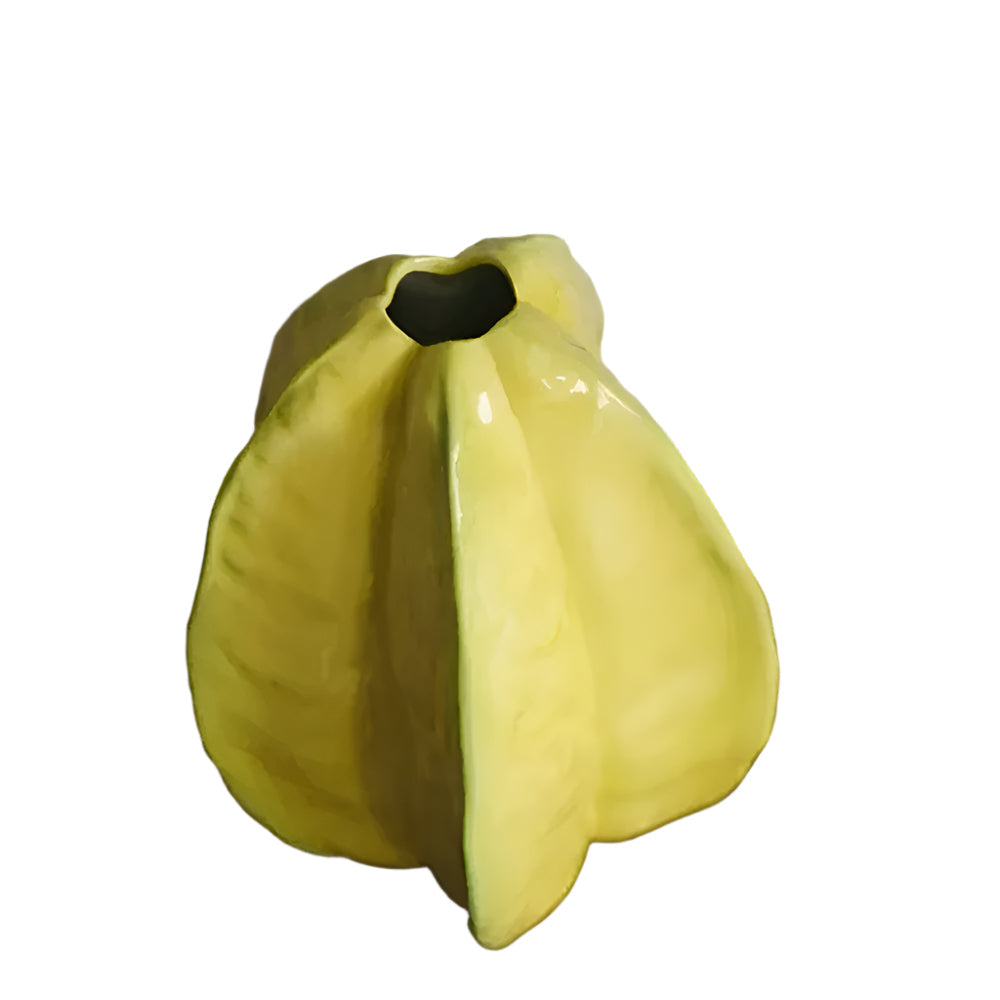 Nerithia - Ambachtelijke Keramieken Bloemenvaas in Stervruchtvorm