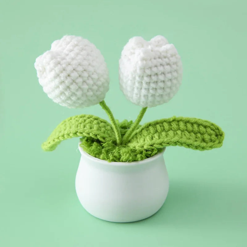 WolBloem | Decoratieve Potplant