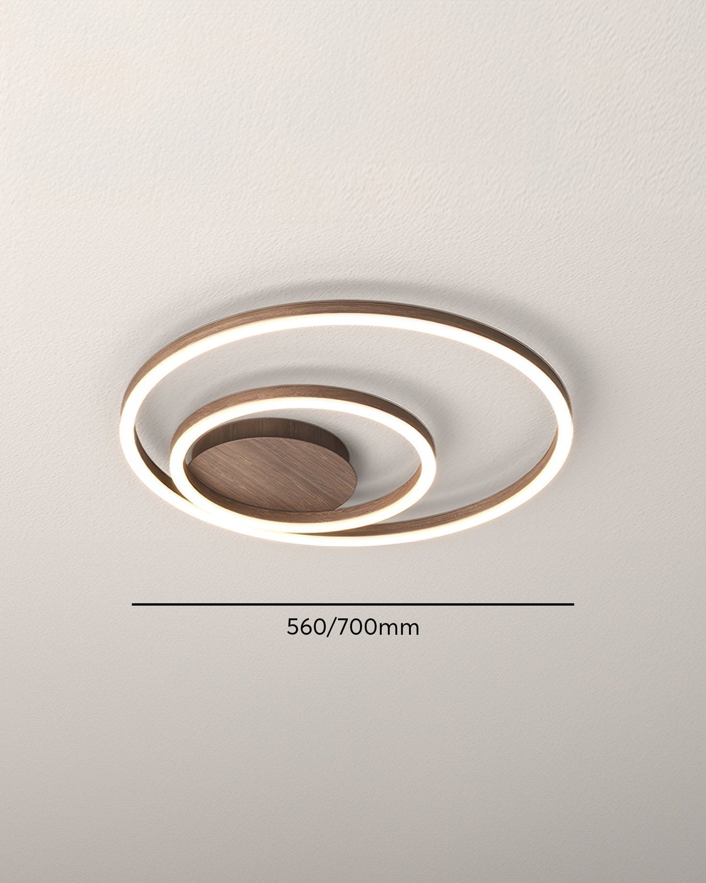 Elegant Ring Plafondarmatuur