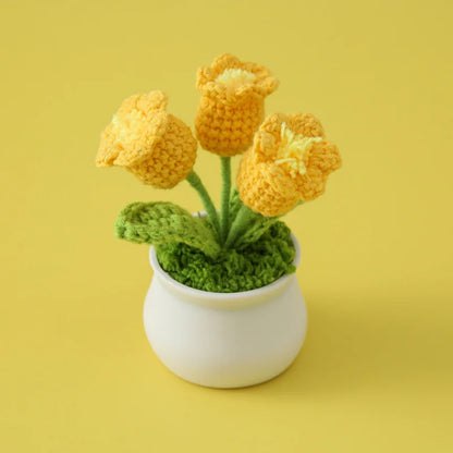 WolBloem | Decoratieve Potplant