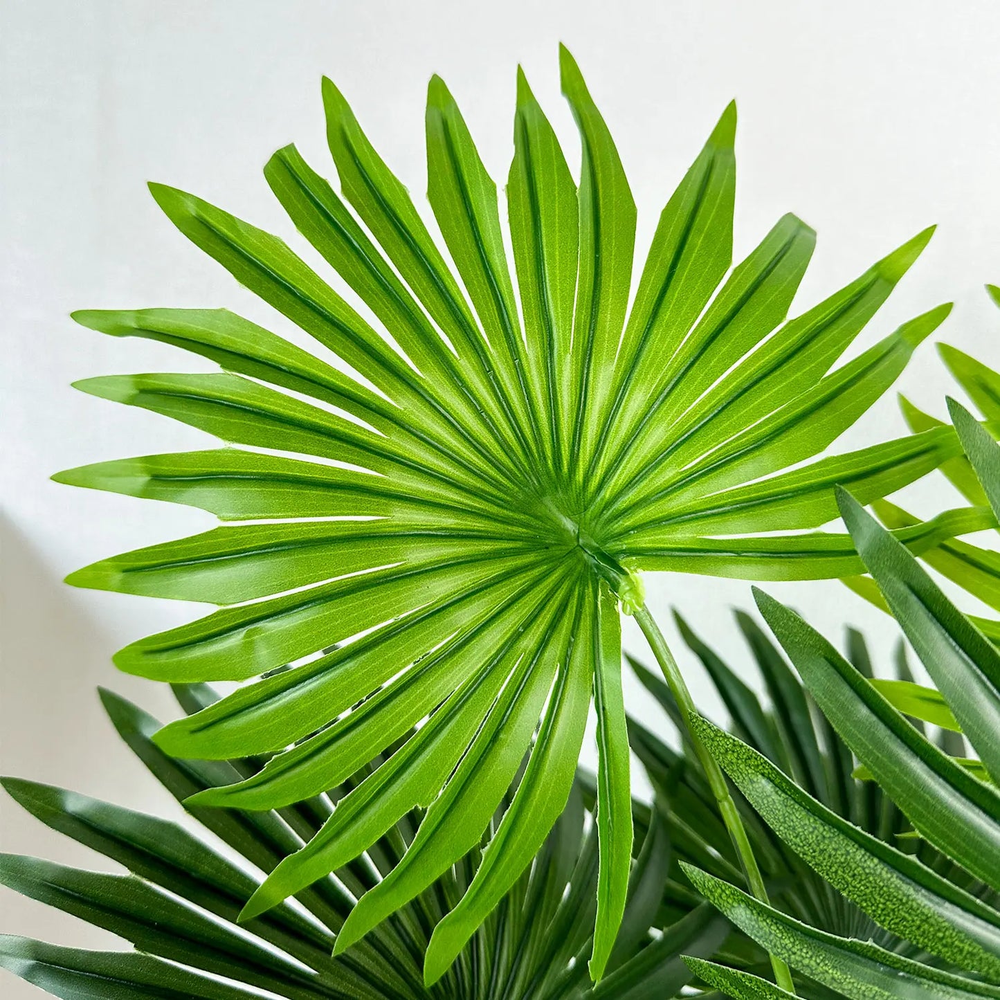 PalmLux | Realistische Sierplant Met Groot Blad