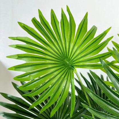 PalmLux | Realistische Sierplant Met Groot Blad