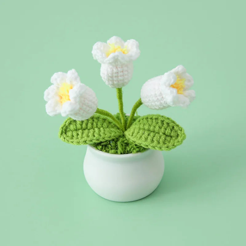 WolBloem | Decoratieve Potplant