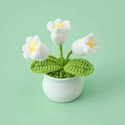 WolBloem | Decoratieve Potplant