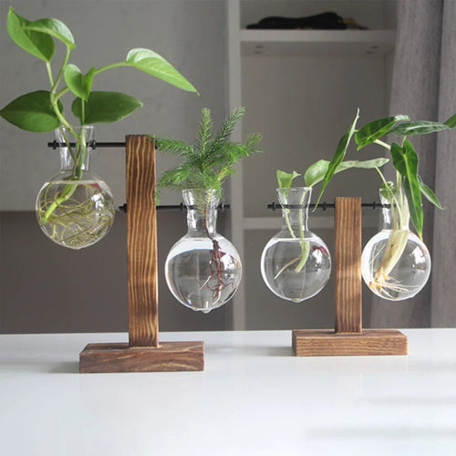 GlowPlant | Glazen Tafelplant Lamp