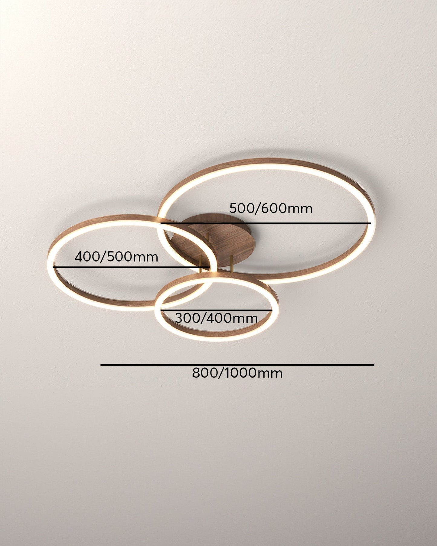 Elegant Ring Plafondarmatuur