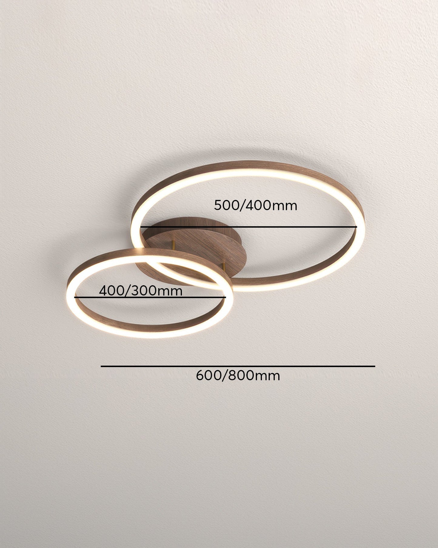 Elegant Ring Plafondarmatuur