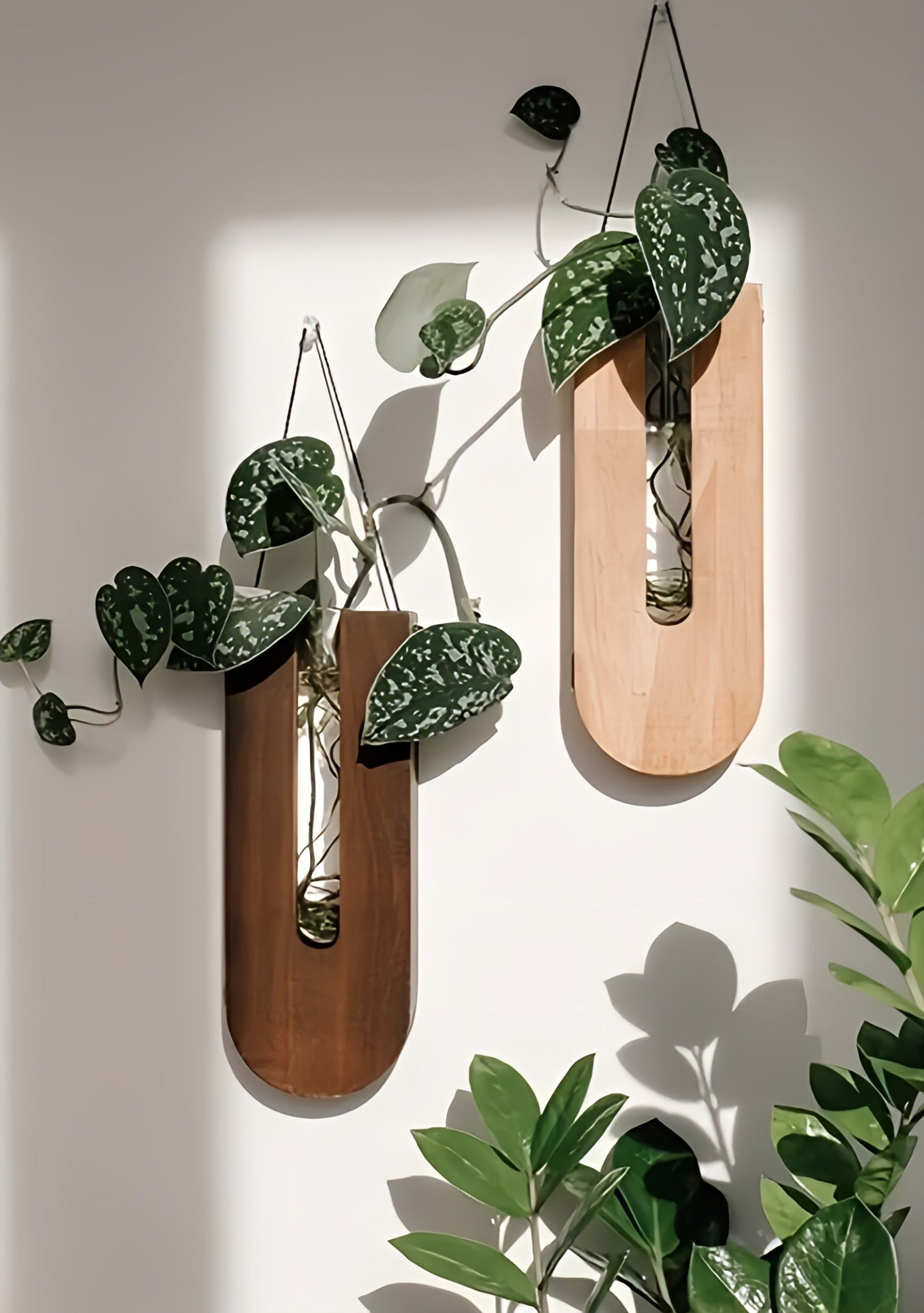 WoodFlora | Set Rustieke Creatieve Houten Muurbloemenhouders - voor Kamerplanten